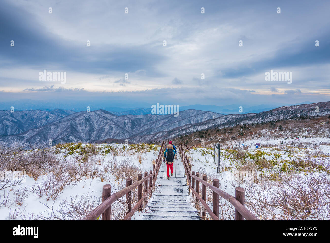 Los excursionistas en montañas en invierno,paisaje invernal de la montaña de nieve blanca en Corea Foto de stock