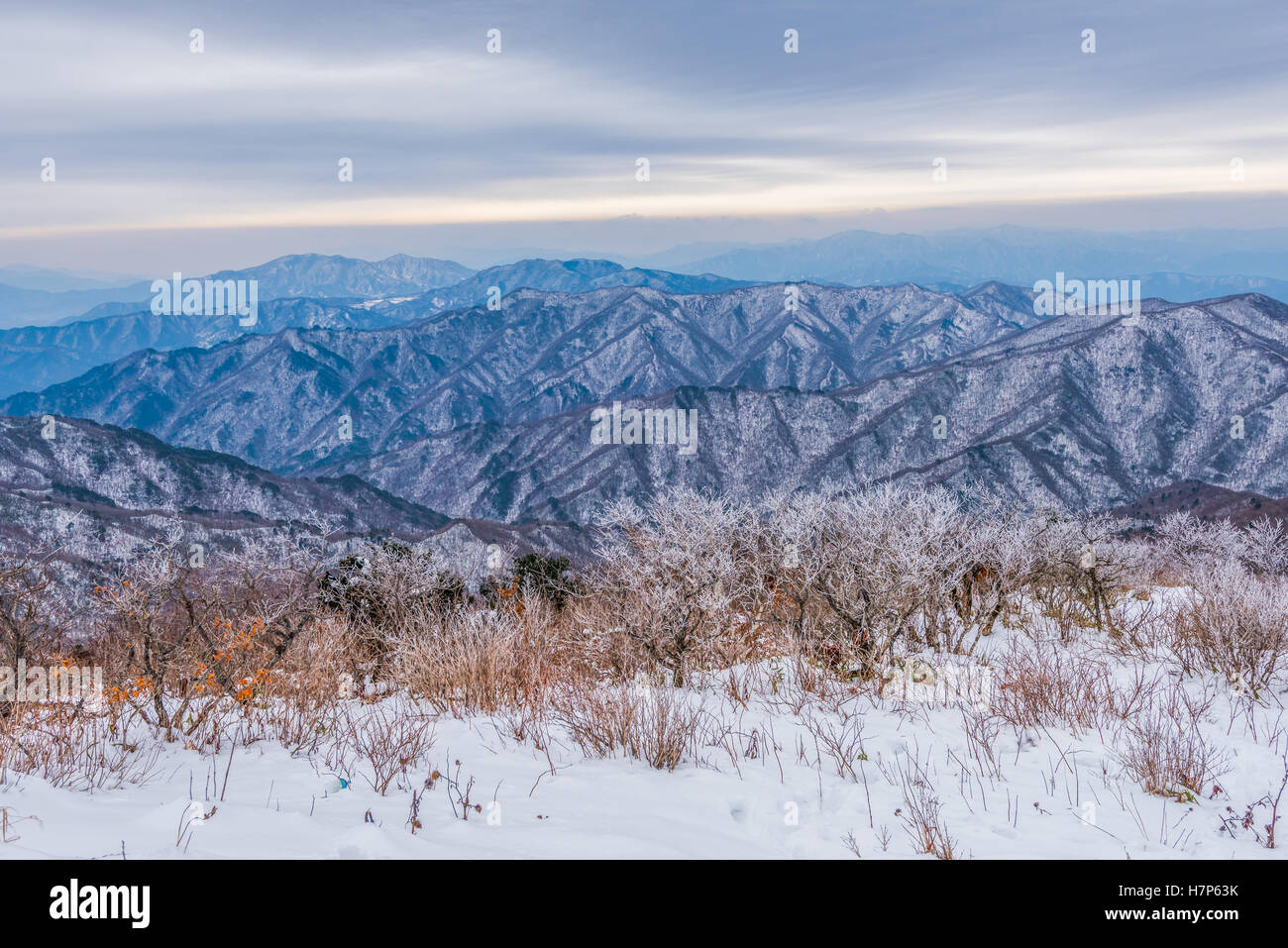 Paisaje invernal de la montaña de nieve blanca en Corea Foto de stock