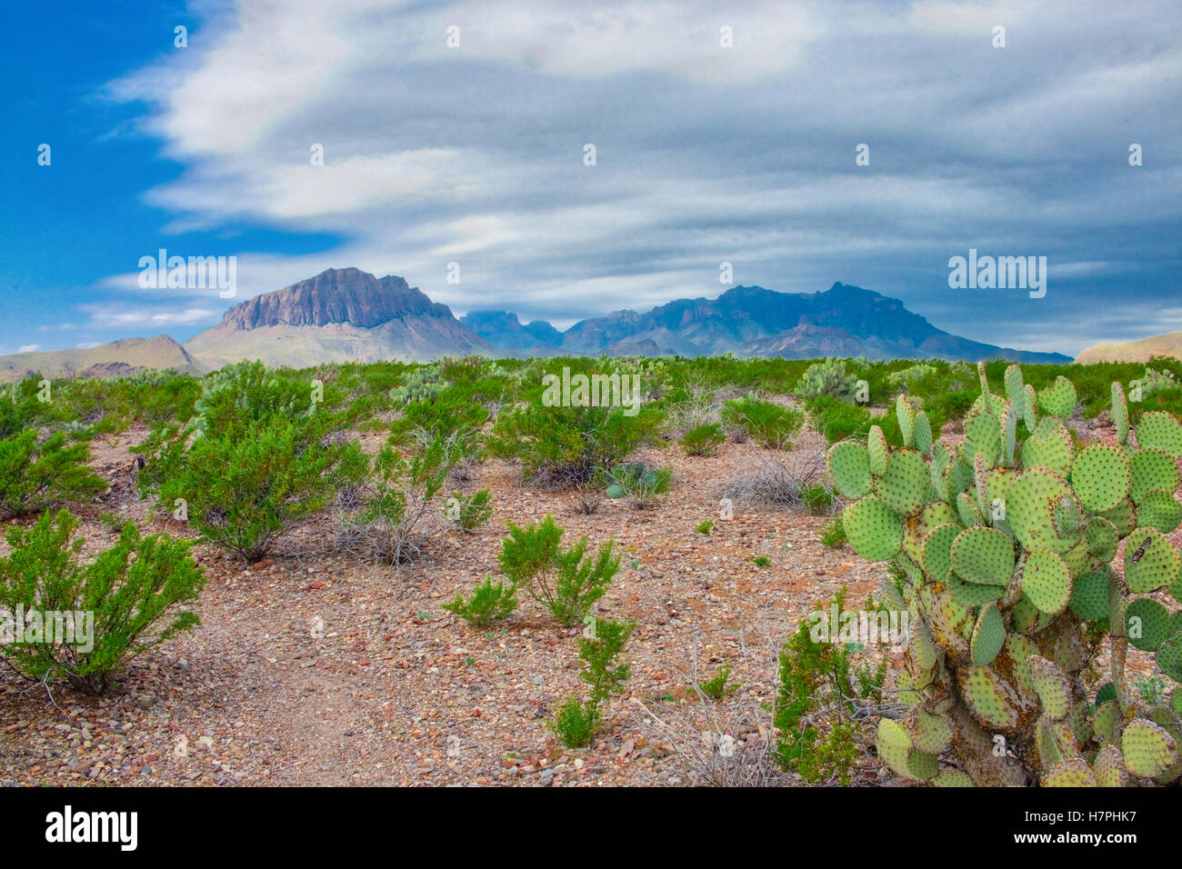 Las Montañas Chisos gama elevarse por encima del suelo del desierto de Chihuahua en el Parque Nacional Big Bend Texas Foto de stock