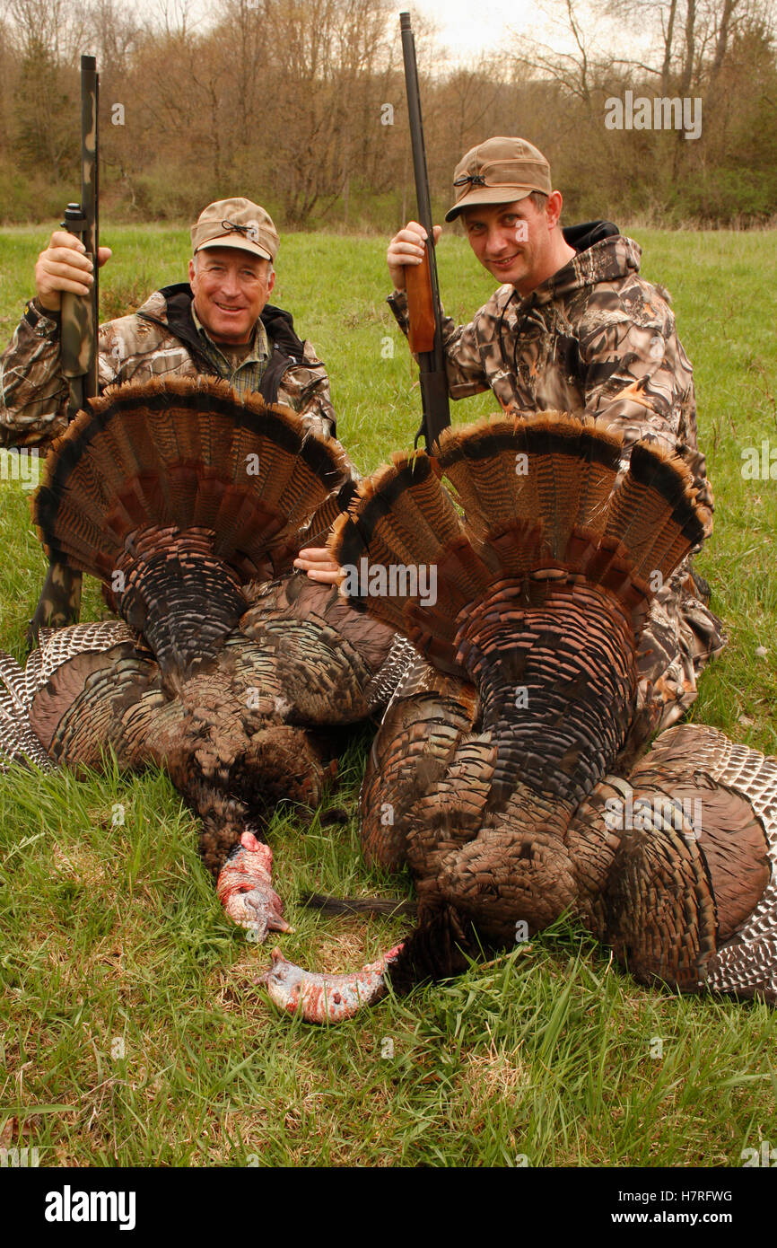 Pavo muerto fotografías e imágenes de alta resolución - Alamy Pavo muerto fotografías e imágenes de alta resolución - Alamy