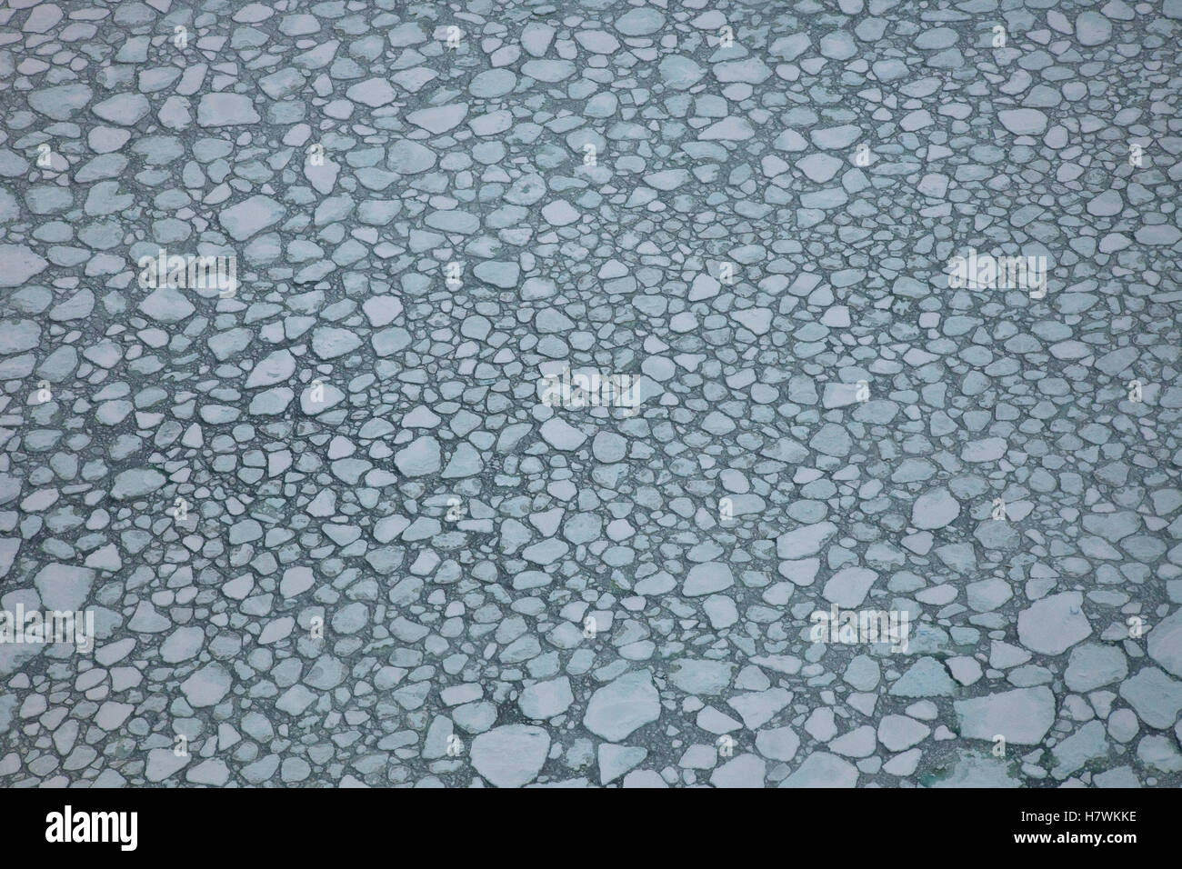 Bloques de hielo, del norte, del Mar de Ross en la Antártida Foto de stock