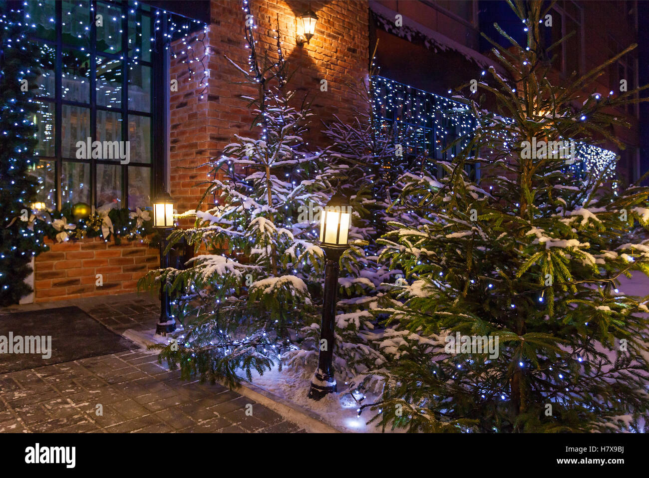 Patio de Navidad decoración. Navidad patio con árboles de Navidad naturales  adornados con guirnaldas azules y las luces de la calle cerca del ho  Fotografía de stock - Alamy