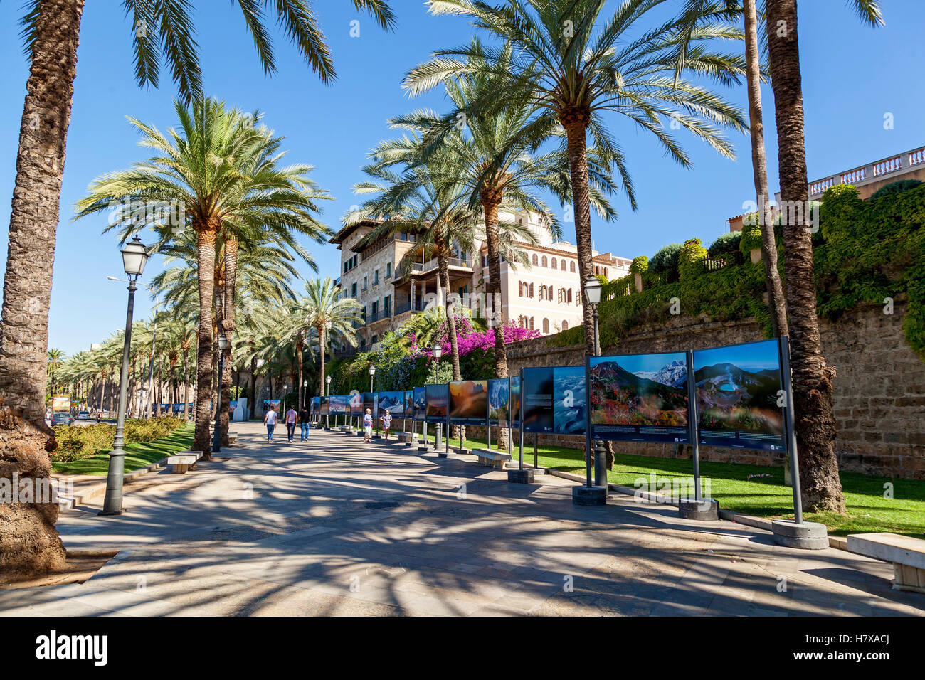 España 23 de junio calle de Palma de Mallorca. Calle de Palma de Mallorca en un día soleado en el que caminar lentamente los vacacionistas. En ambos Foto de stock