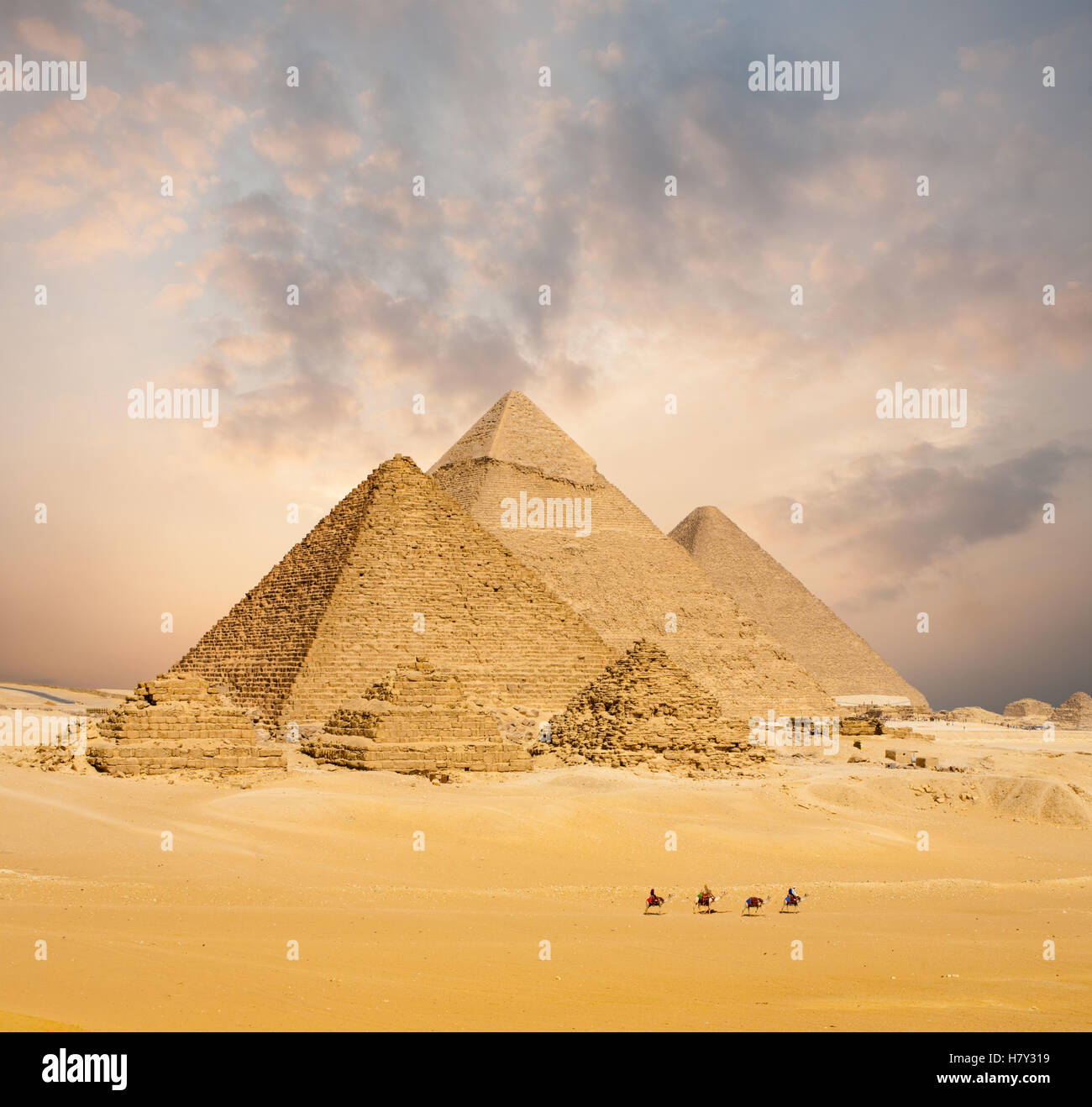 Increíble puesta de sol detrás de todas las pirámides egipcias distantes junto con la línea de los camellos caminando en primer plano en Giza, en El Cairo, Egipto. Foto de stock