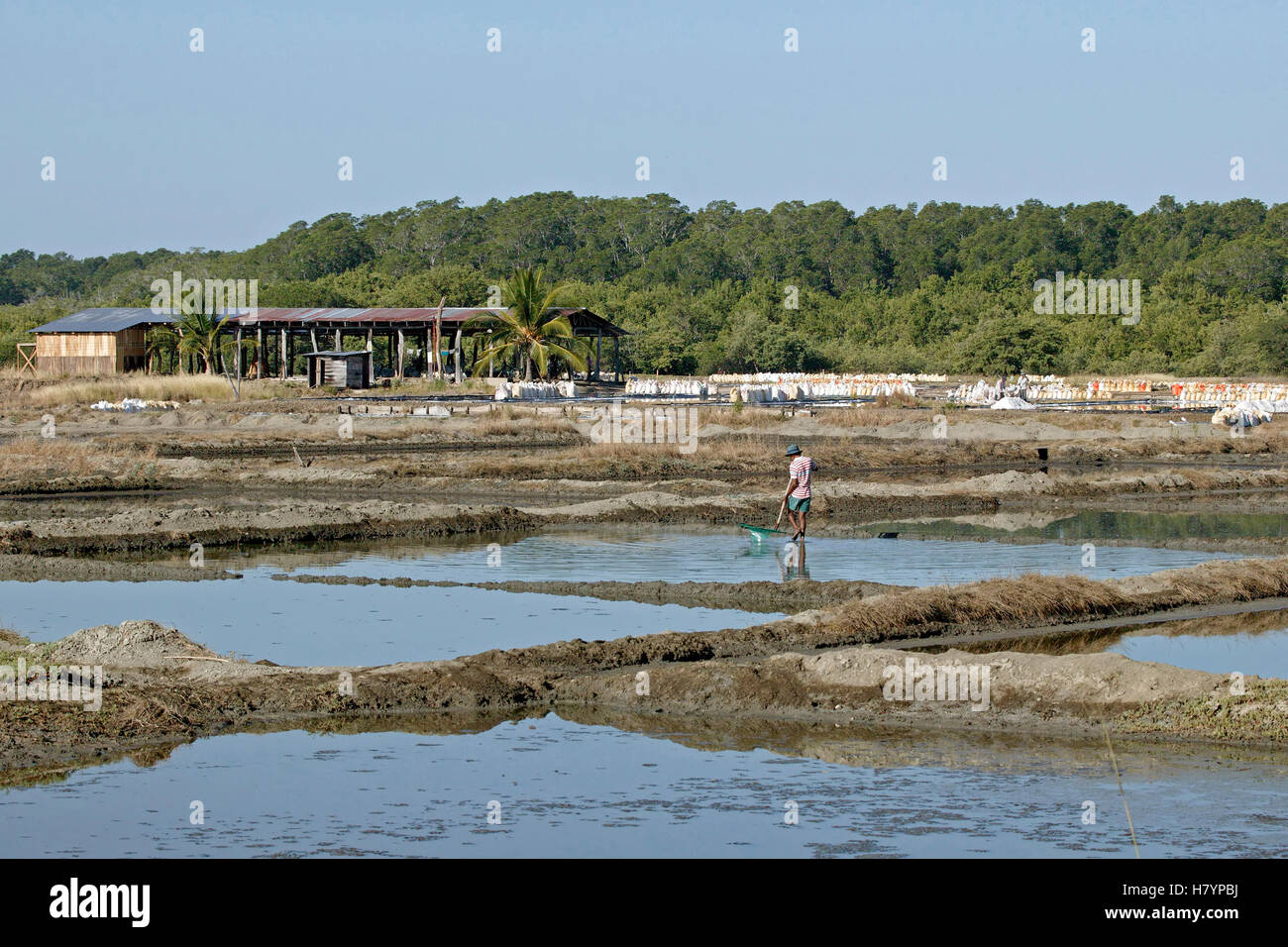 Sal evaporando sartenes, Guanacaste, Costa Rica Fotografía de stock - Alamy