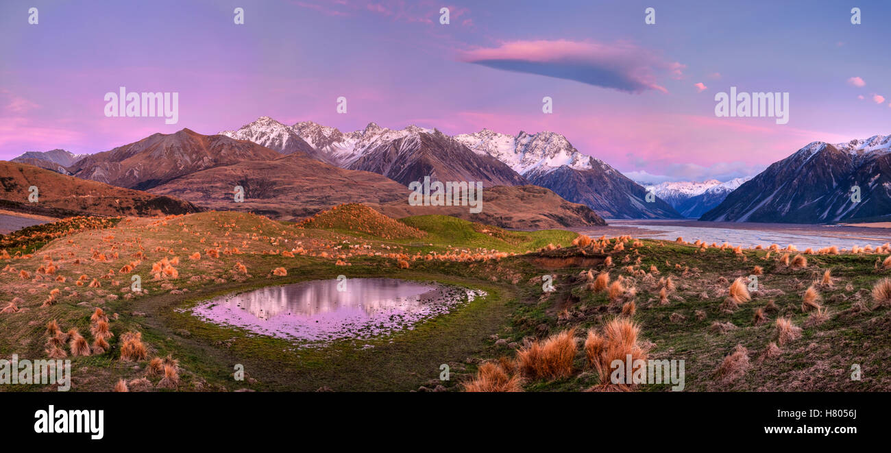 Ovejas domésticas (Ovis aries) Grey y el estanque en pre-amanecer, alpenglow Reishek Rakaia valle, montañas, Canterbury, Nueva Zelandia Foto de stock