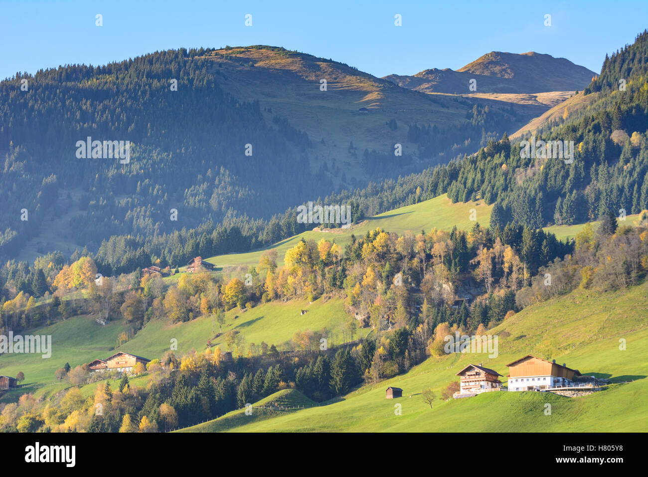 Mittersill: casas rurales en el valle de Salzach, montaña Kitzbüheler Alpen, Pinzgau, Salzburgo, Austria Foto de stock
