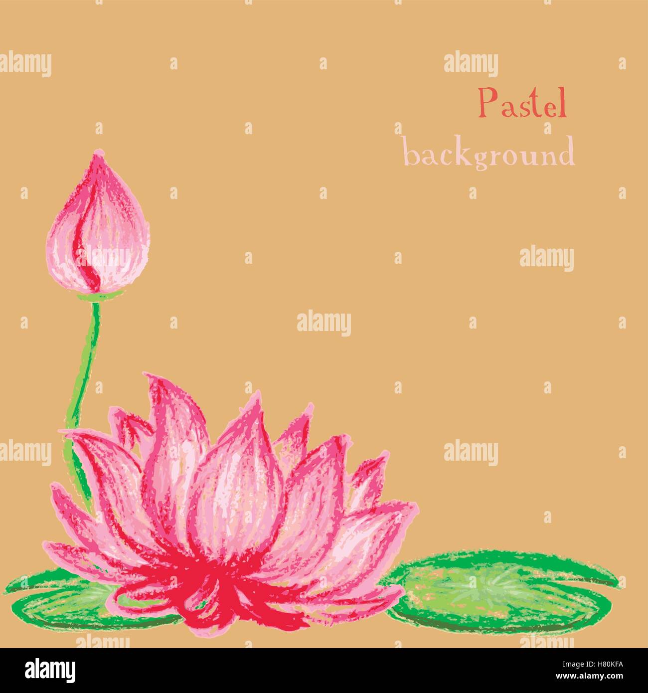 Ilustración vectorial dibujo artesanal tizas pastel flor de loto  antecedentes Imagen Vector de stock - Alamy