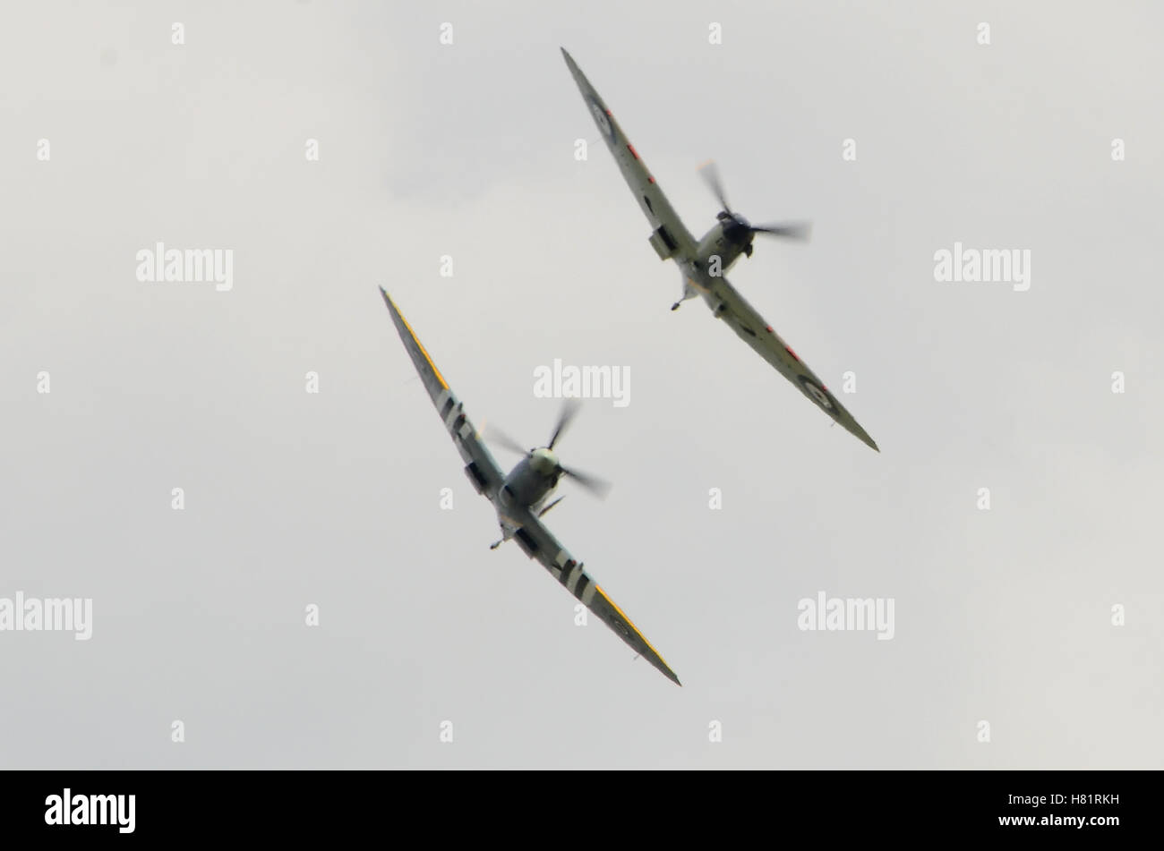 Icónico spitfires británicos aviones de combate de la II Guerra Mundial Foto de stock