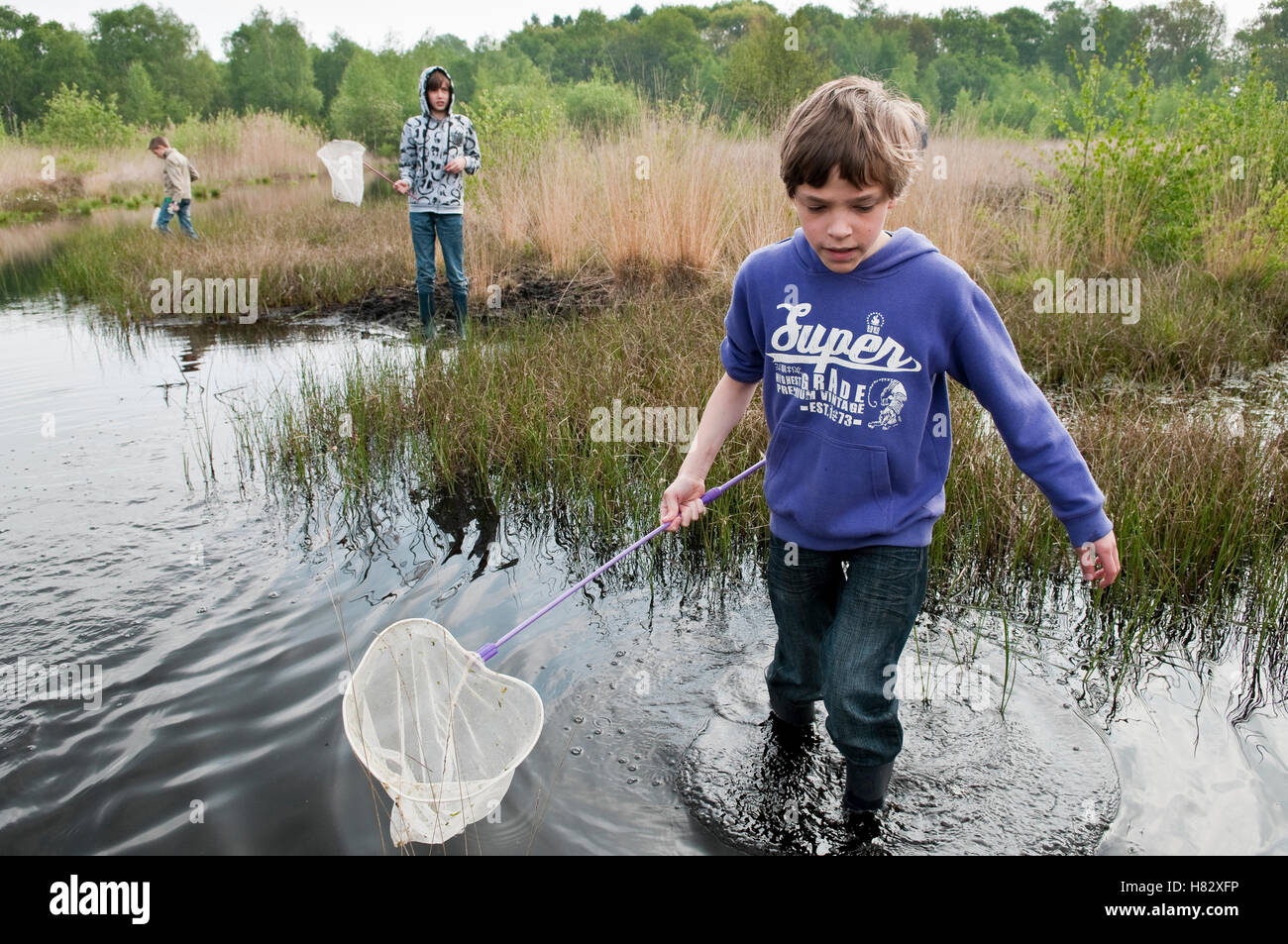 Grupo de niños atrapar animales acuáticos con redes de pesca, Países Bajos Foto de stock