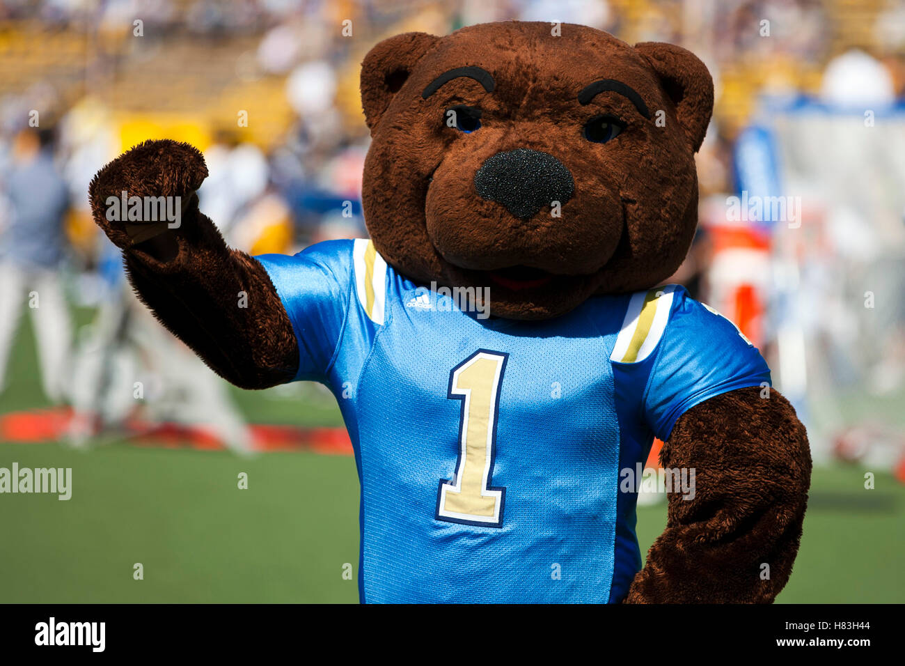 UCLA Bruins bear mascota en Memorial Stadium, de la Universidad de