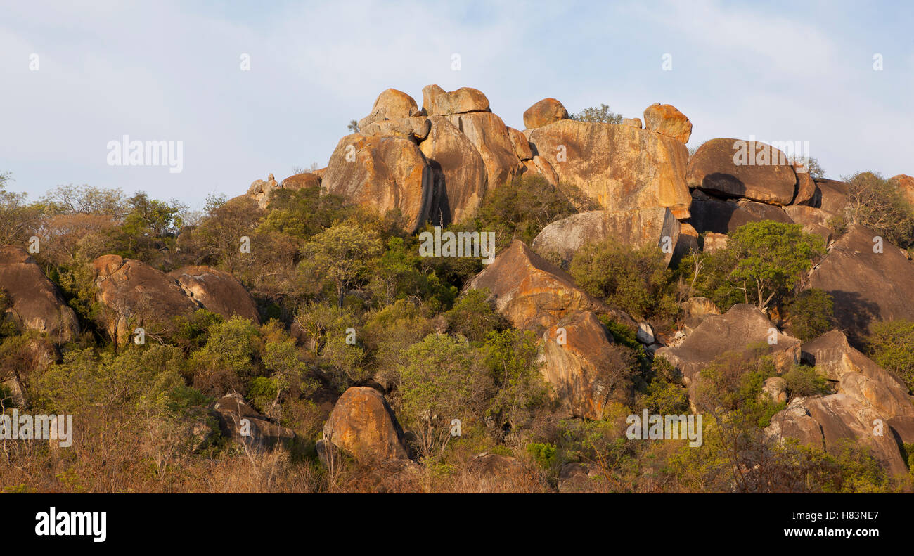 Rocas de granito, Matopos Hills, el Parque Nacional de Matobo, Zimbabwe