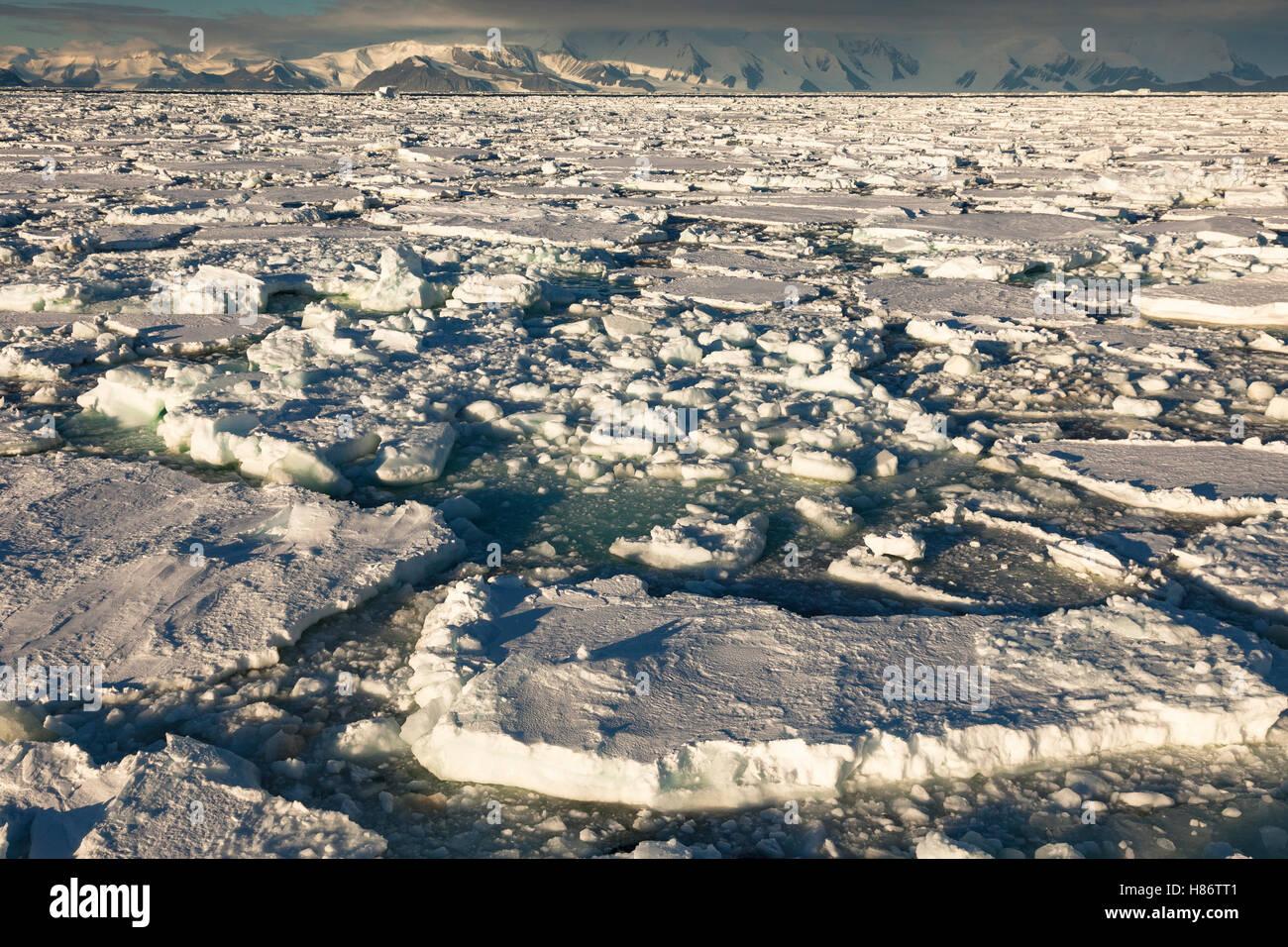 Bloques de hielo cerca de la isla Coulman, Mar de Ross, en la Antártida Foto de stock