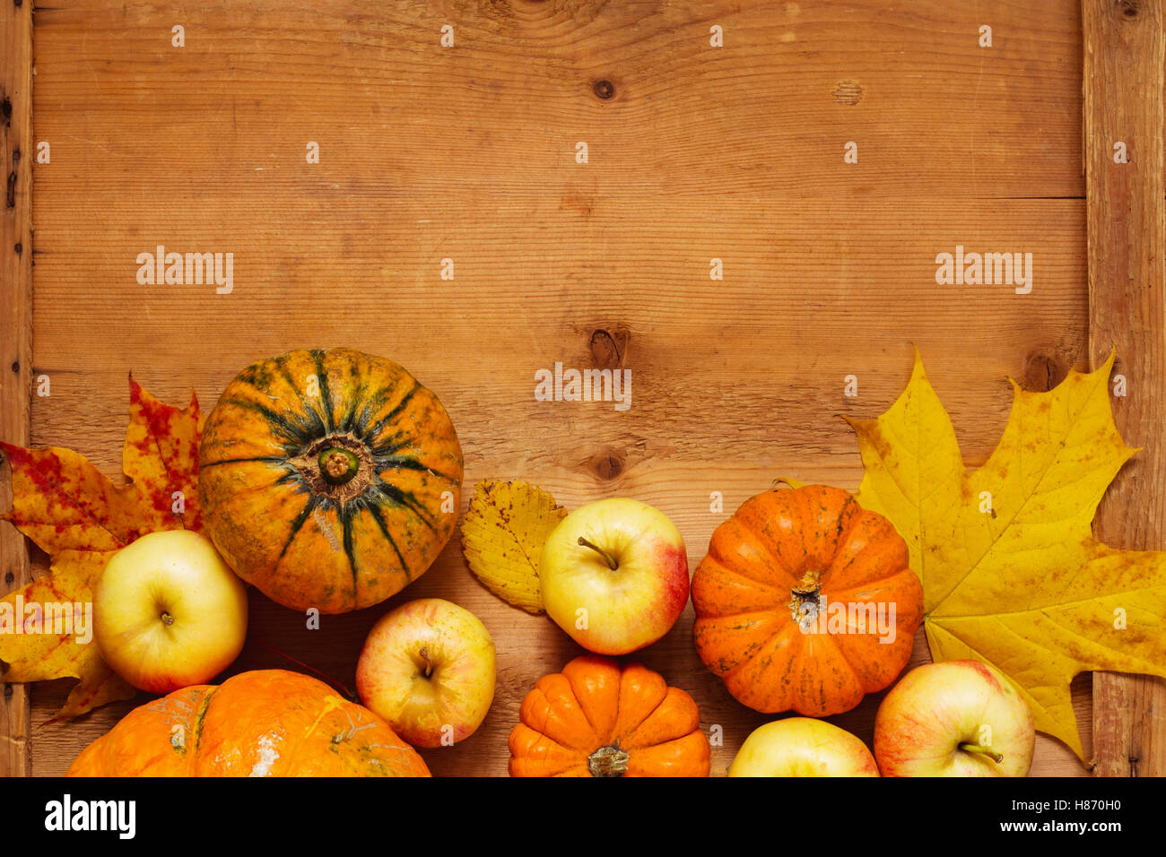 Fondo de acción de gracias: la variedad de calabazas, manzanas y hojas que caen sobre la mesa de madera con espacio para copiar texto. Horizontal. Foto de stock
