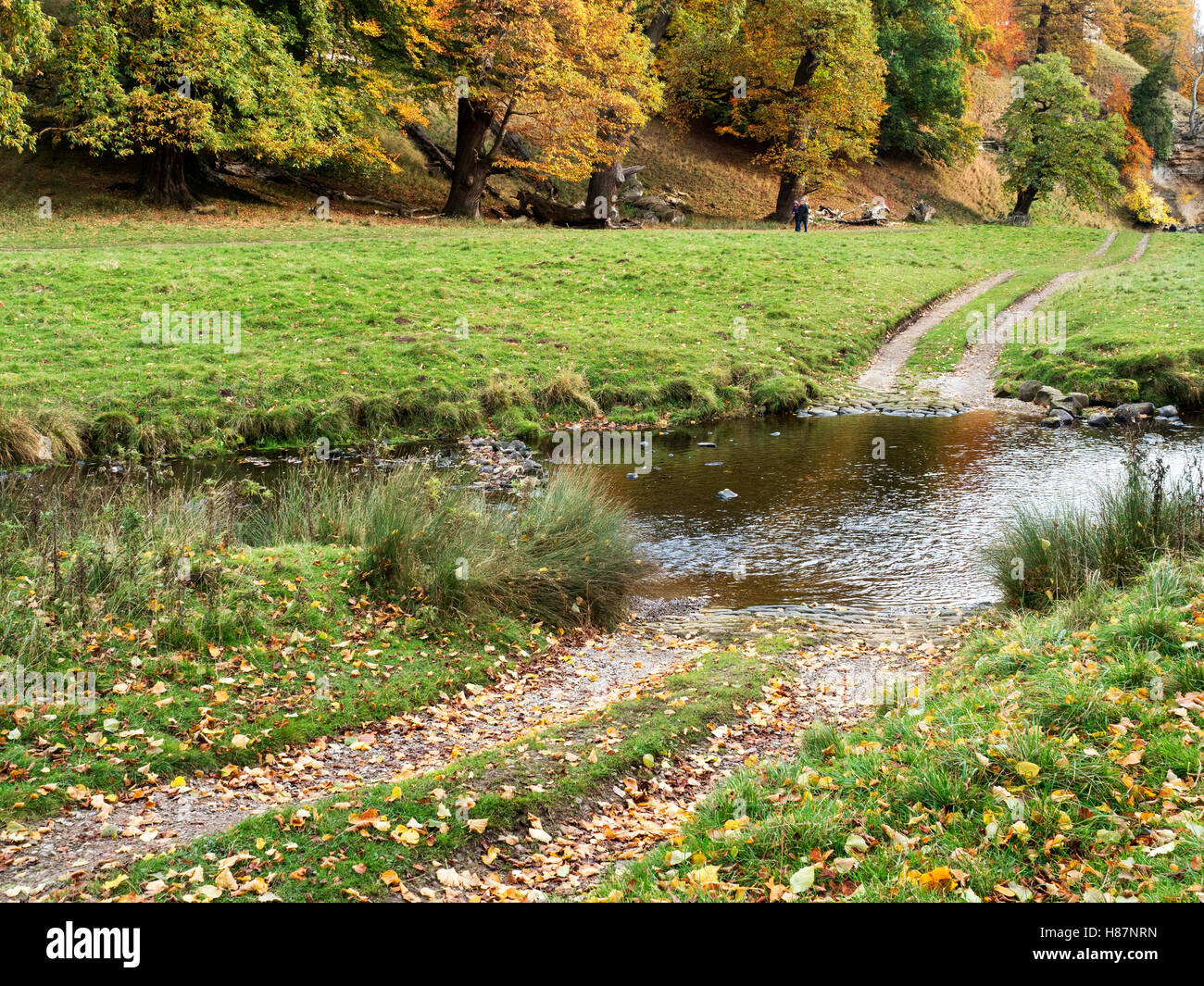Ford sobre el río Skell en otoño en Studley Royal Ripon Yorkshire, Inglaterra Foto de stock