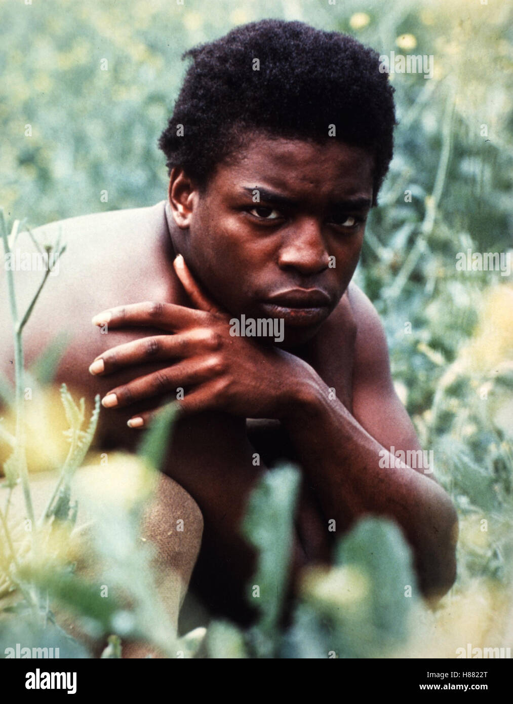 Raíces - eine afrikanische Kindheit (raíces), USA 1977, Regie: David Greene, LeVAR BURTON Foto de stock