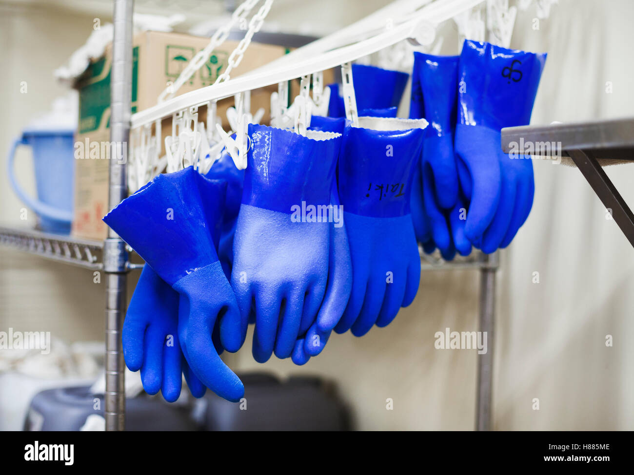 Fila de guantes de plástico azul colgando de ganchos en una cervecería. Foto de stock