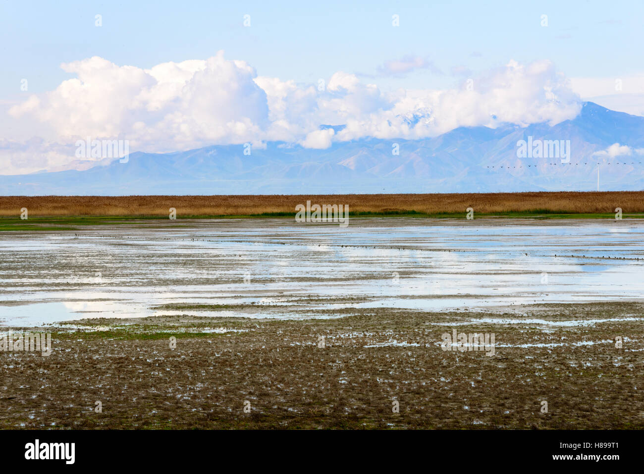 Antelope Island State Park Fotografía de stock Alamy