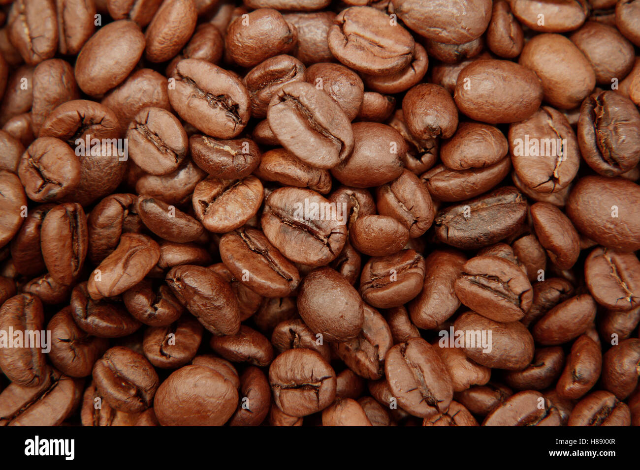 Primer plano de café tostado en grano Foto de stock