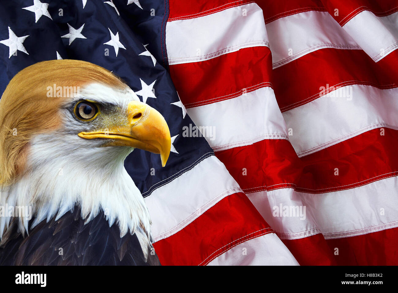 El presidente Trump el águila calva norteamericana sobre la bandera