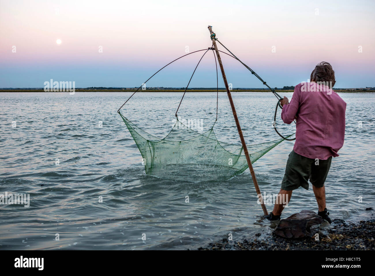 Mont Saint-Michel (Saint Michael's Mount), (Normandía, noroeste de Francia), en 2013/11/16: pescador (Toun Lebrec) con un cuadrado de pesca red de pesca en la bahía. Foto de stock