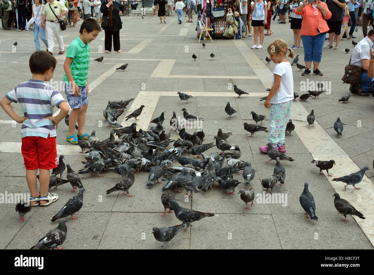 Las palomas y los niños en la Plaza de San Marcos de Venecia en Italia. Foto de stock