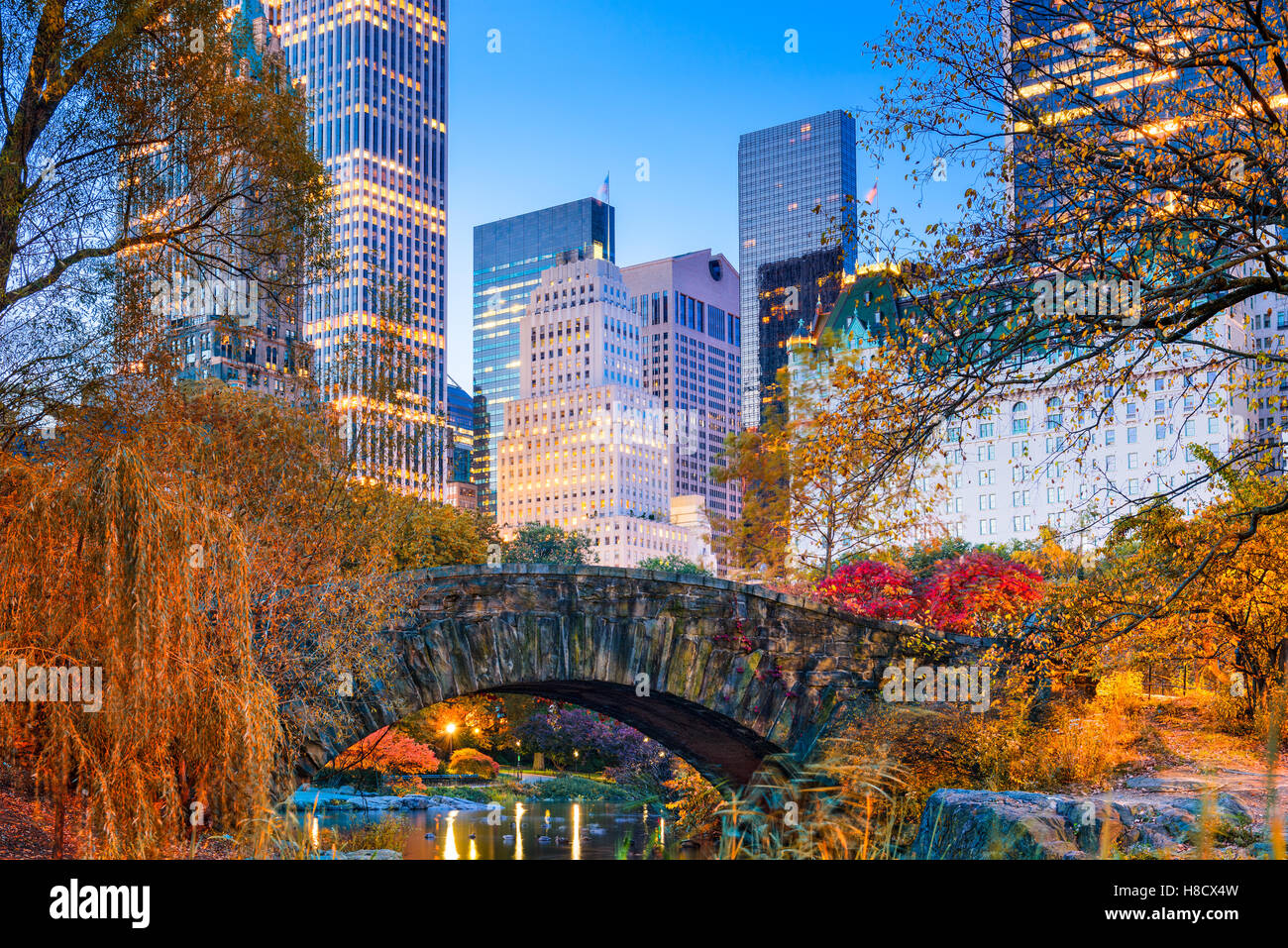 Central Park durante el otoño en la Ciudad de Nueva York. Foto de stock