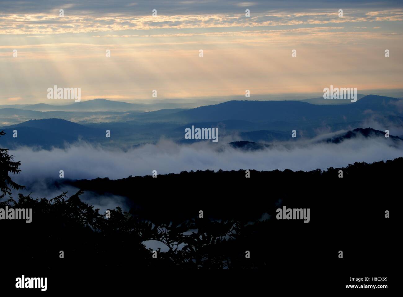 Niebla de la mañana en las montañas Blue Ridge en el impresionante Skyline Drive Foto de stock