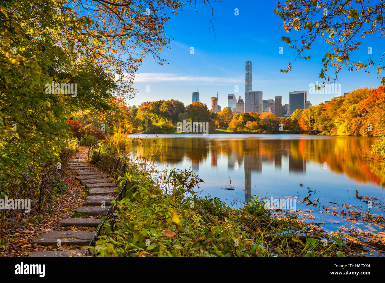 Central Park durante el otoño en la Ciudad de Nueva York. Foto de stock