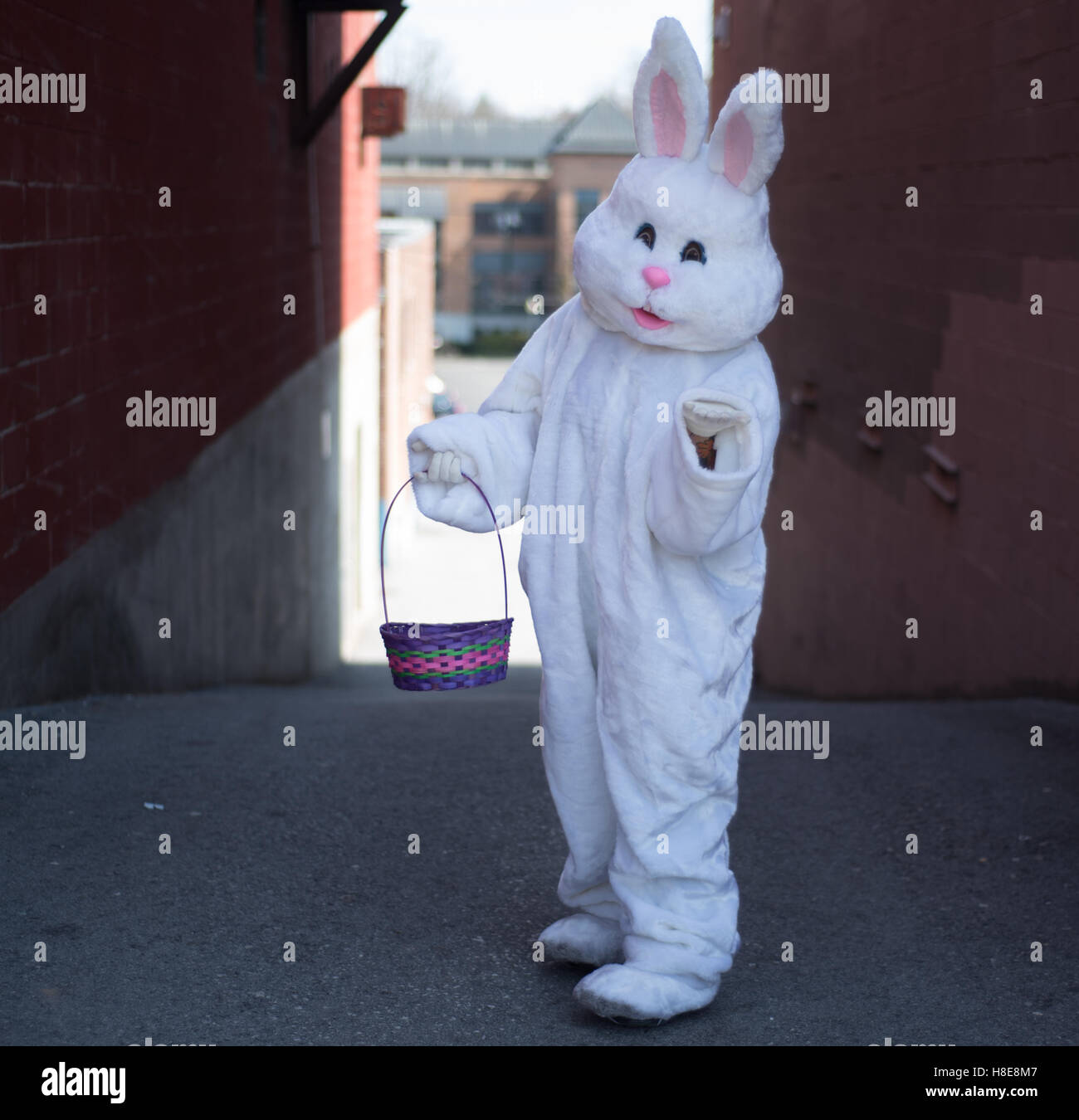 Easter bunny costume fotografías e imágenes de alta resolución - Alamy