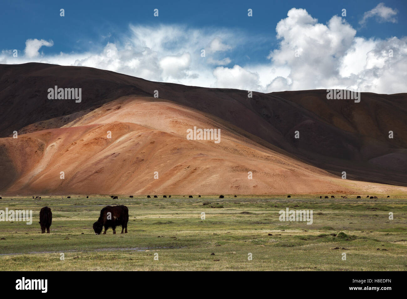 Paisaje de Pamir Pamir de Tayikistán - BGAO provincia - Techo del mundo Foto de stock