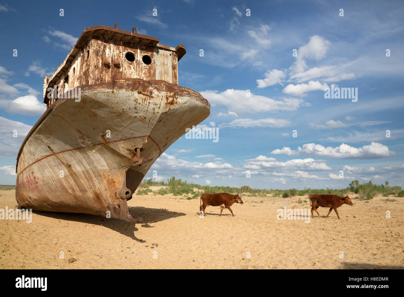 Moynaq - Mar de Aral - Uzbekistán - Karakalpakstán - Asia Foto de stock