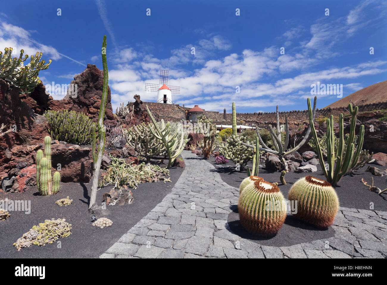 Jardín de Cactus por César Manrique, molino de viento, Reserva de la Biosfera de la UNESCO, Guatiza, Lanzarote, Islas Canarias, España Foto de stock