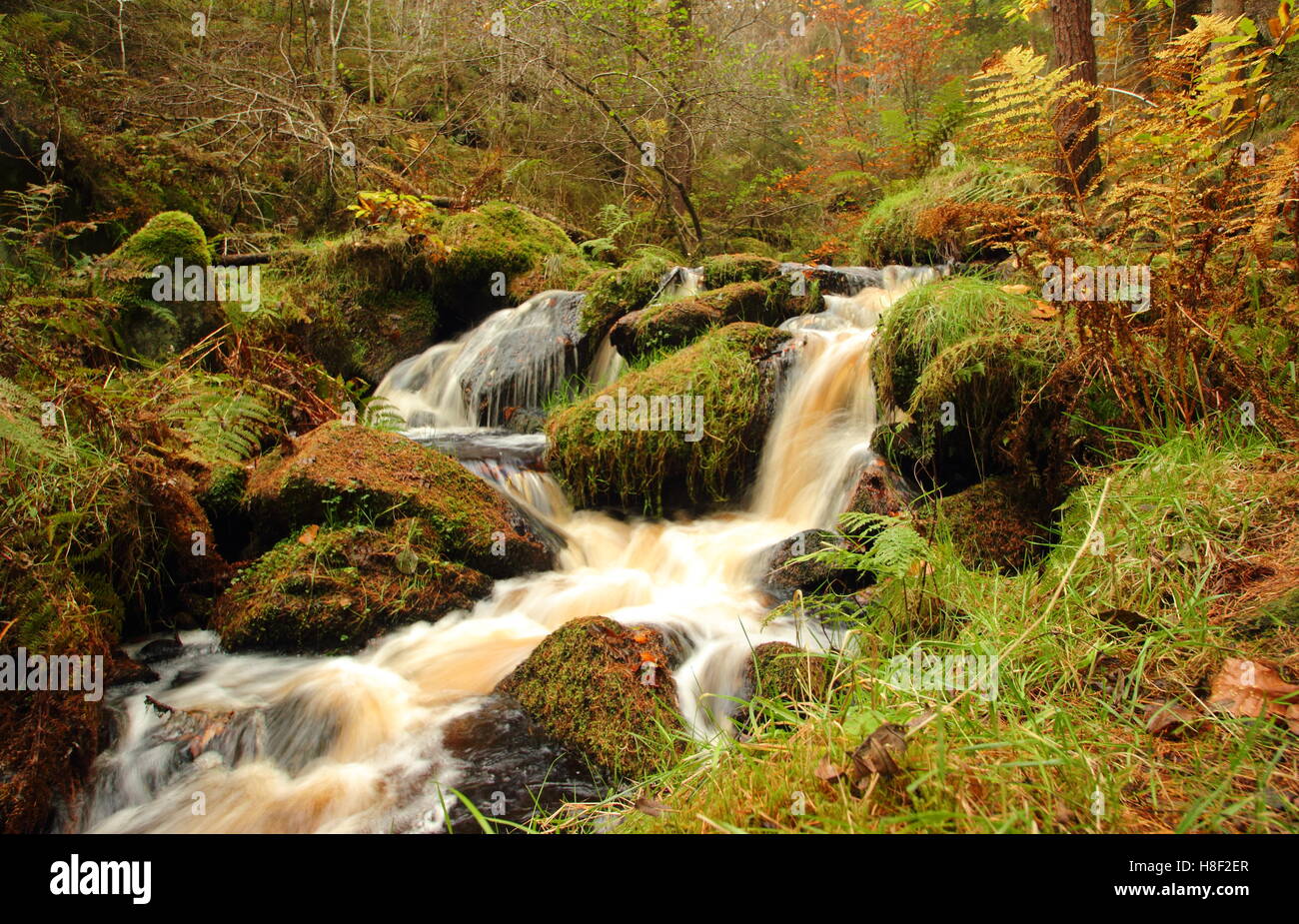 Wyming Brook en otoño en la ciudad de Sheffield, Peak District National Park, South Yorkshire, norte de Inglaterra, Reino Unido Foto de stock