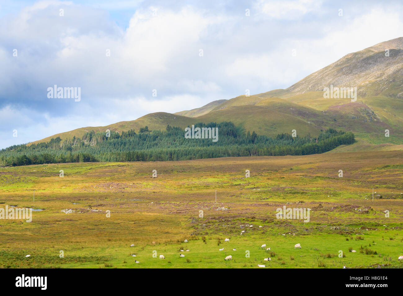 Hermoso panorama desde la región de Tierras Altas de Escocia. Scotland Travel destionation Foto de stock