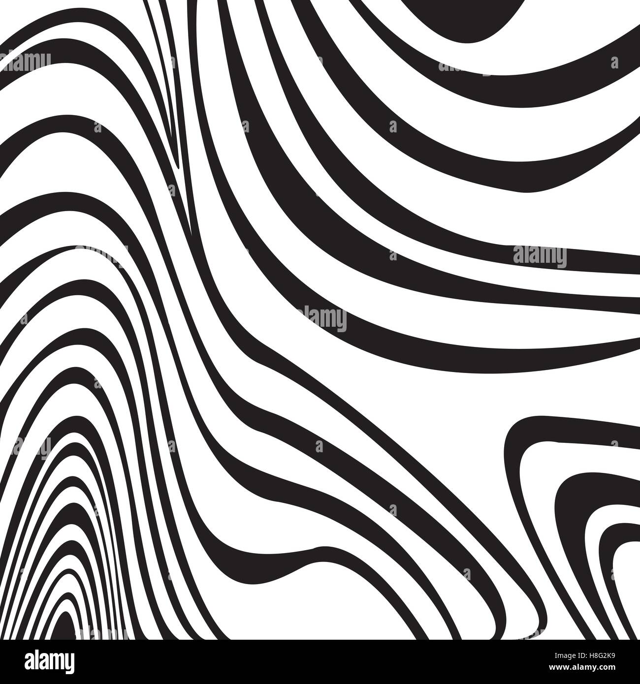 Zebra, patrón, print, rayas, vector, la piel blanca, fondo negro, líneas, naturaleza, diseño, textura, animal, decoración Ilustración del Vector