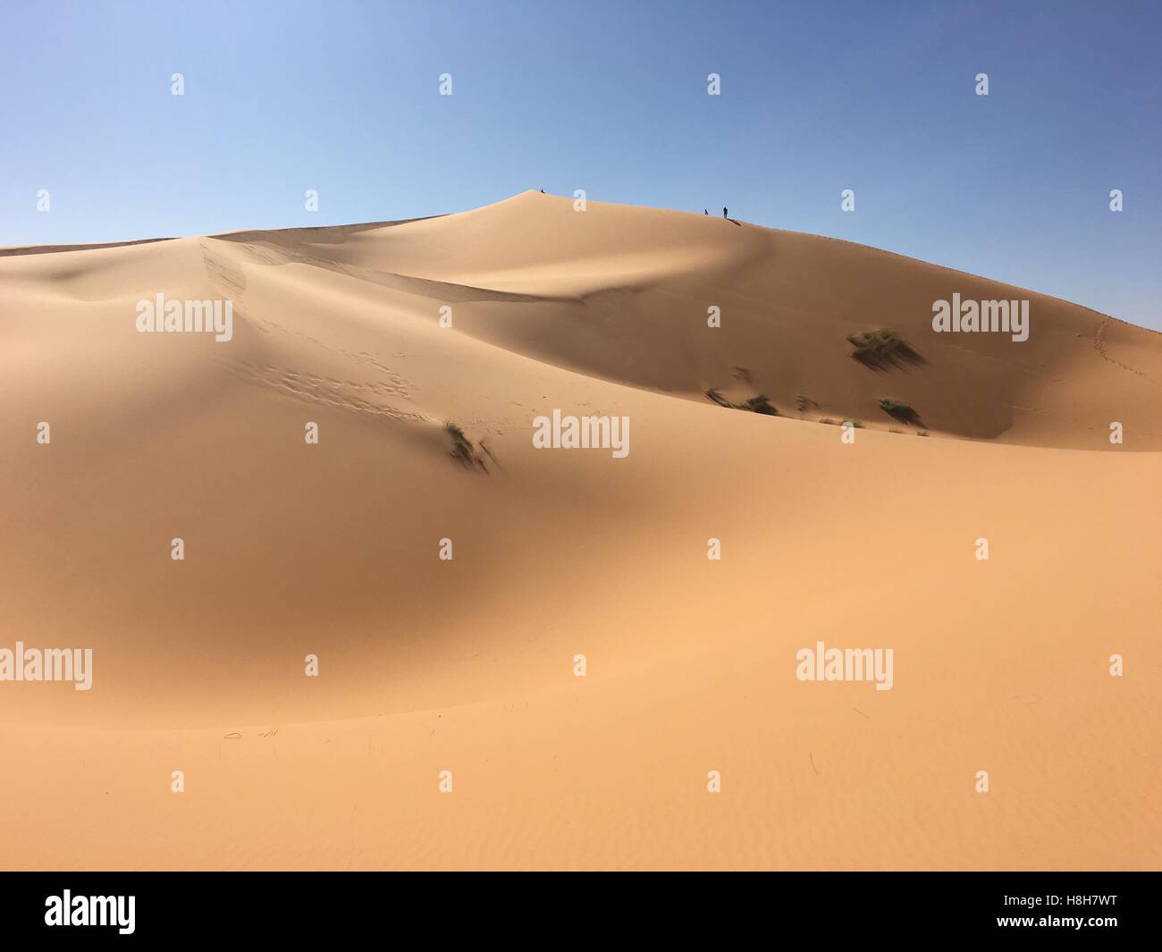 Vacío ilimitado panorama del desierto del norte de África Bechar Argelia, arena del desierto Taghit Foto de stock