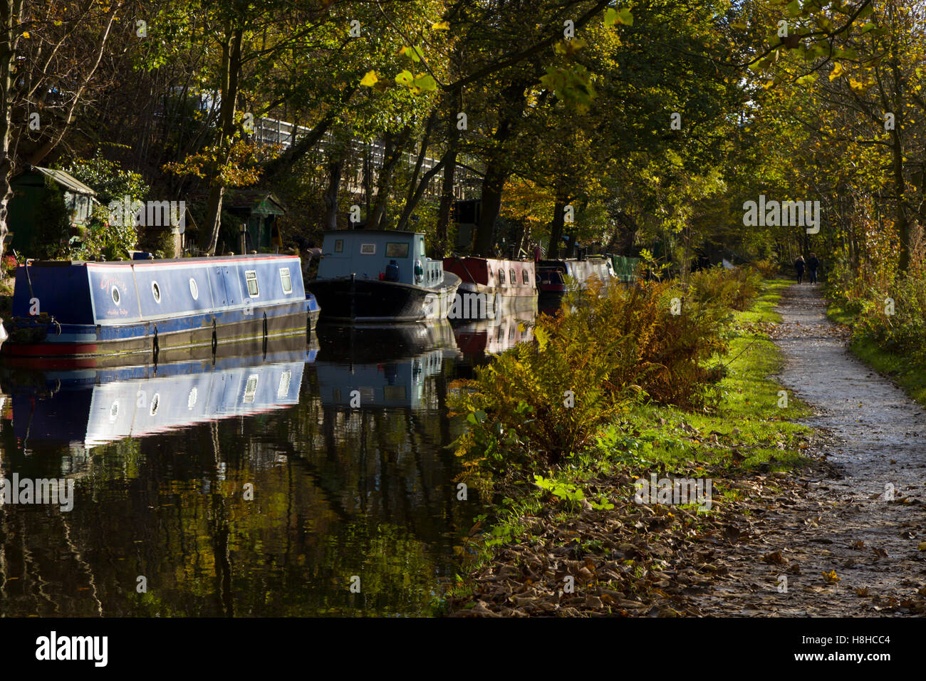Las barcazas amarrados a lo largo del Canal Rochdale en otoño, cerca de Hebden Bridge West Yorkshire, Inglaterra Foto de stock