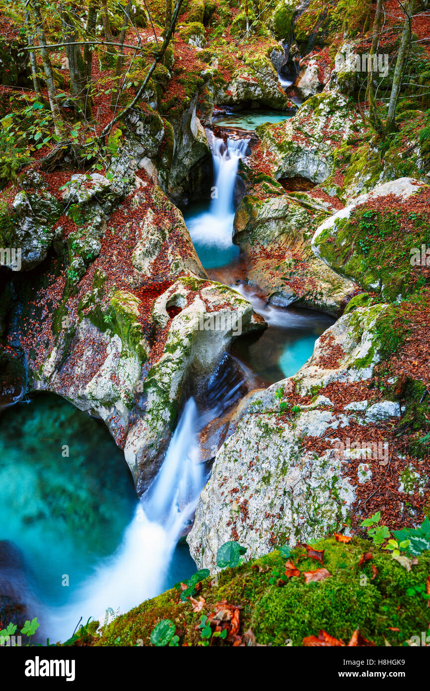 Mountain Creek en otoño en el valle Lepena en Eslovenia Foto de stock