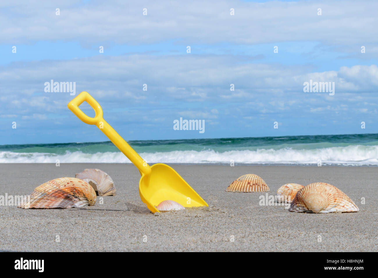 Las conchas y pala en una playa con poca profundidad de campo. Foto de stock