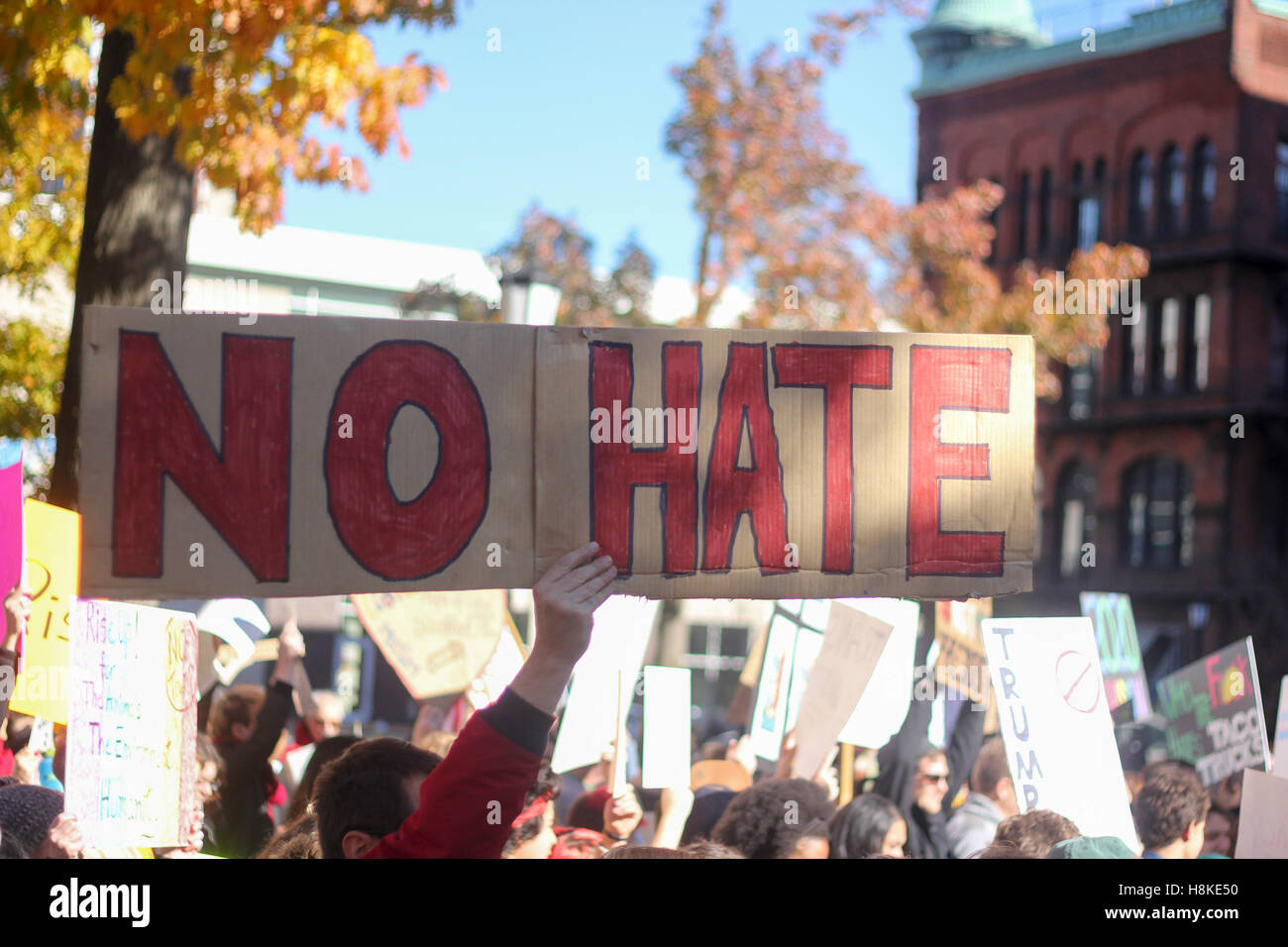 Springfield, Massachusetts, USA. 13 de noviembre de 2016. Firmar celebrada en protesta contra el Presidente electo del magnate Donald Trump. Foto de stock