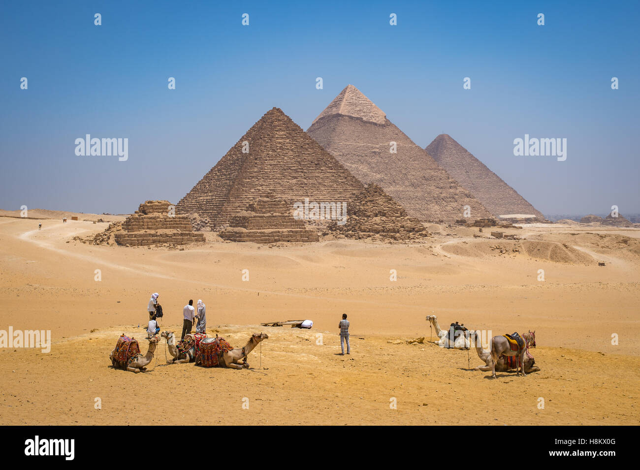 El Cairo, Egipto, turistas y conductores de camellos con sus camellos descansando en el desierto con las tres grandes pirámides de Giza en el BAC Foto de stock