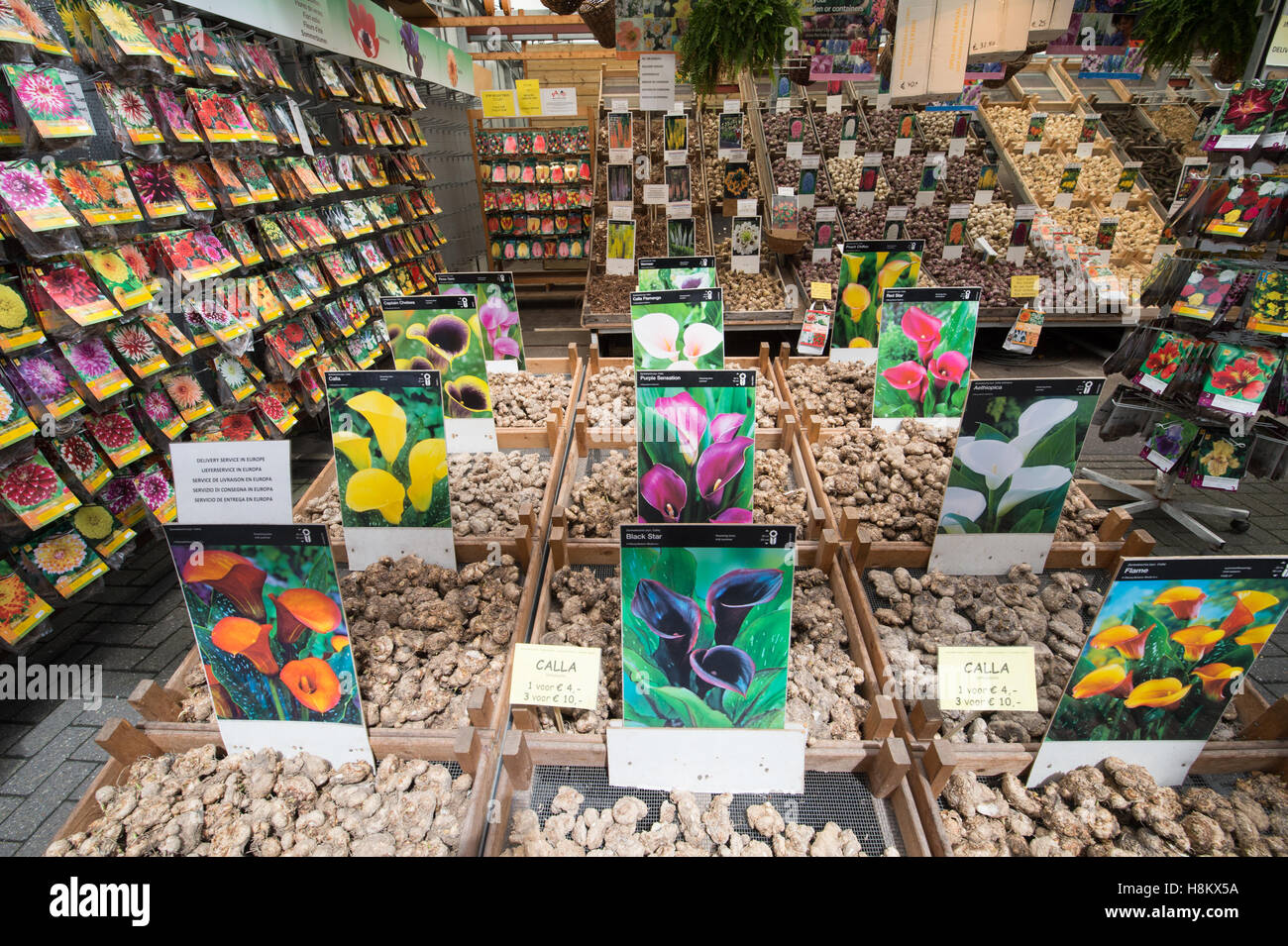 Amsterdam, Países Bajos, gran variedad de flores de colores diferentes semillas y bulbos para la venta en un mercado al aire libre. Foto de stock
