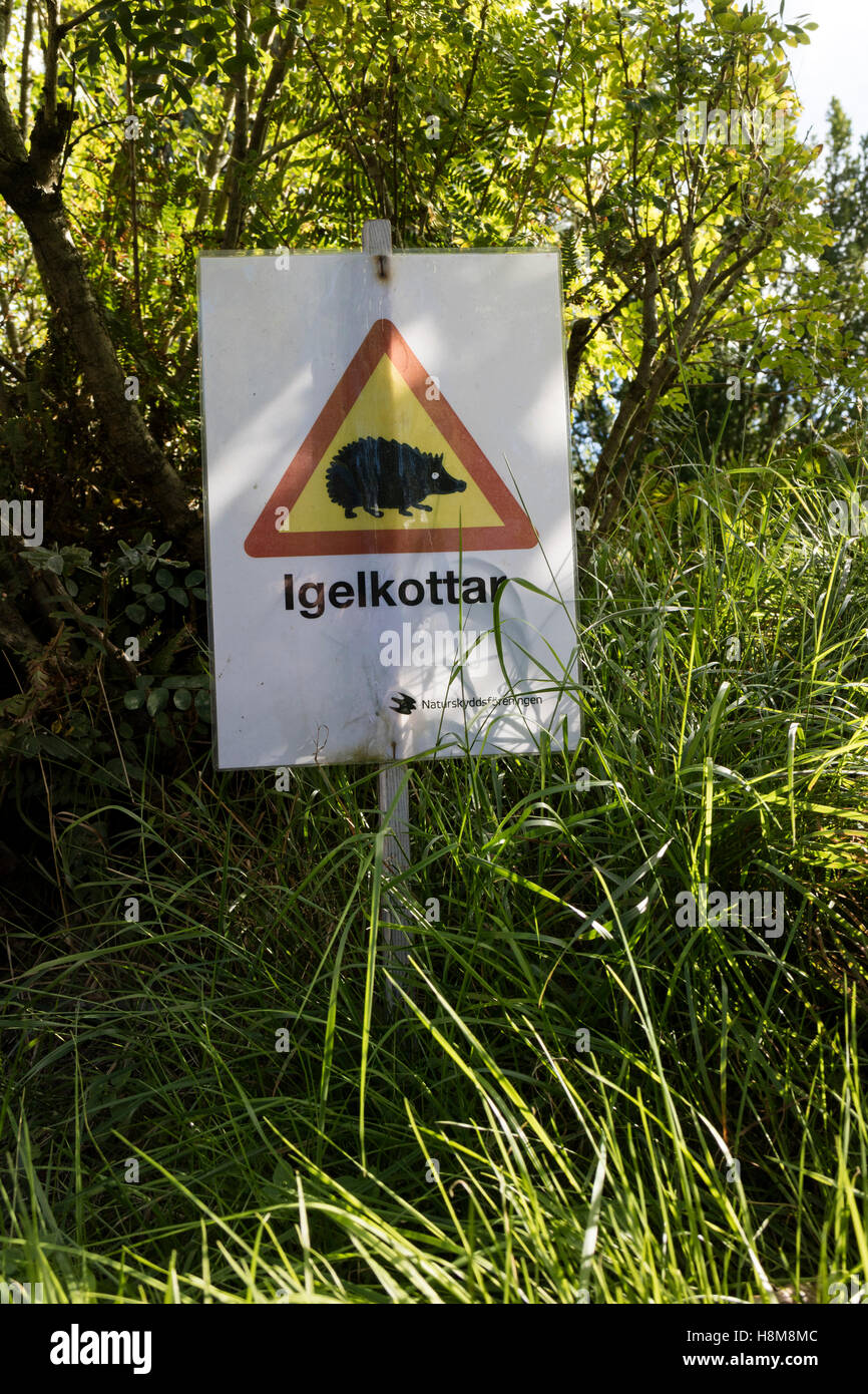 Señal de advertencia para el cruce de erizos en Suecia Foto de stock