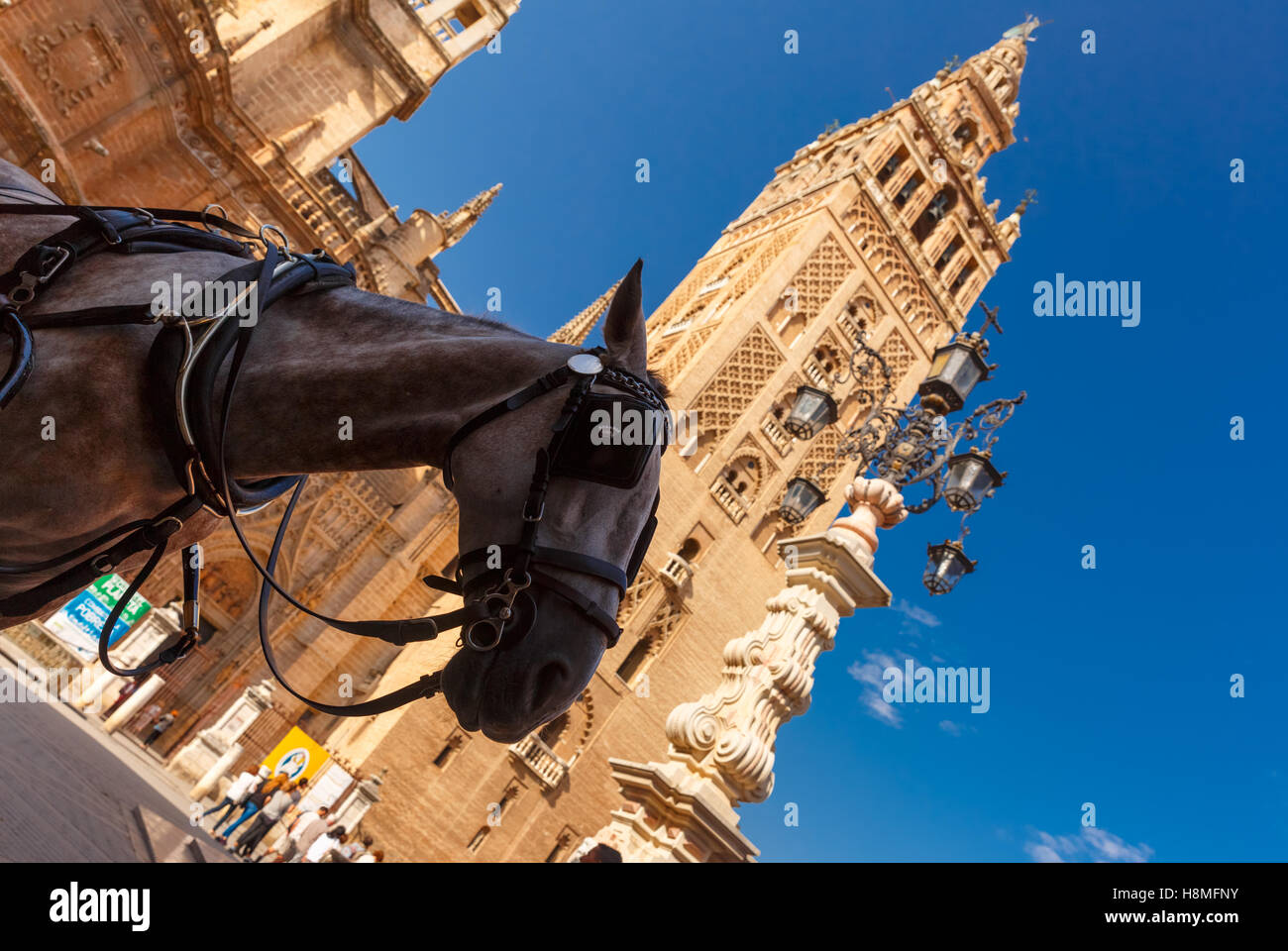 Carruaje de caballos cerca de la Giralda, Sevilla, España. Foto de stock