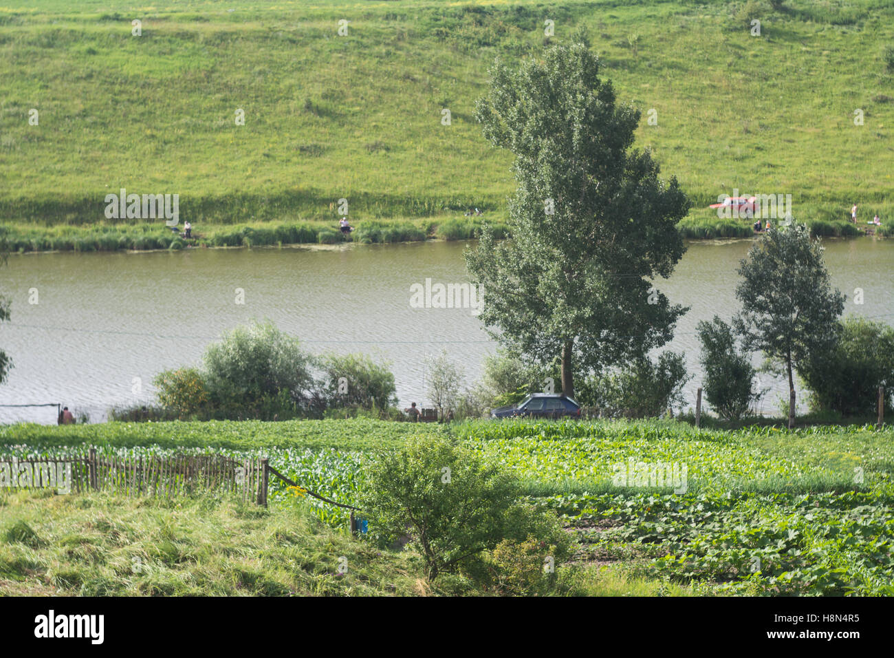 La naturaleza, la aldea, la pesca, el lago, el coche, Sumy, Ucrania, la Región de Europa oriental Foto de stock