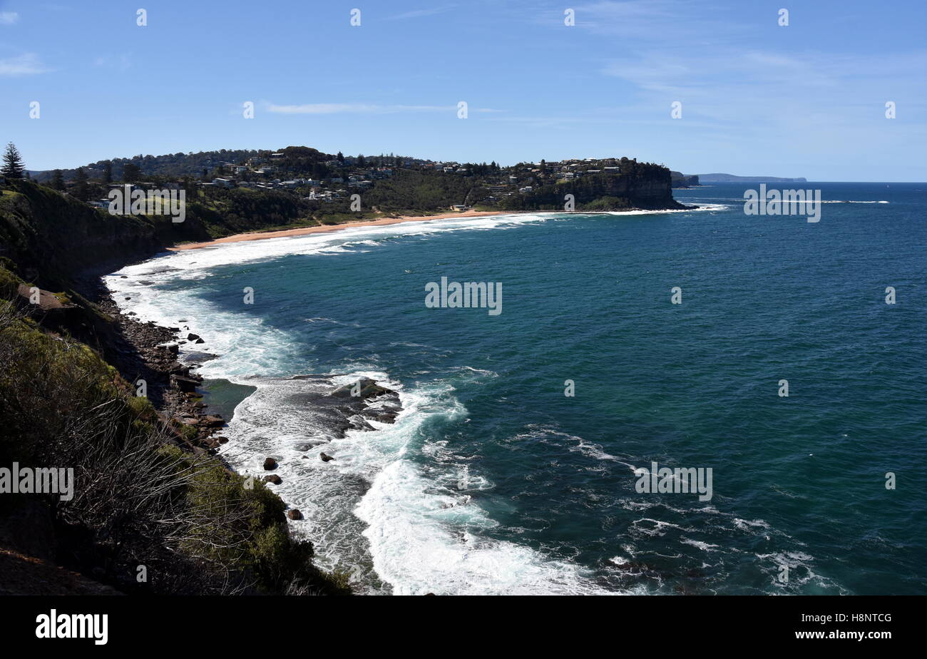 Bungan playa una de las playas del norte de Sidney (Sydney, NSW, Australia) Foto de stock