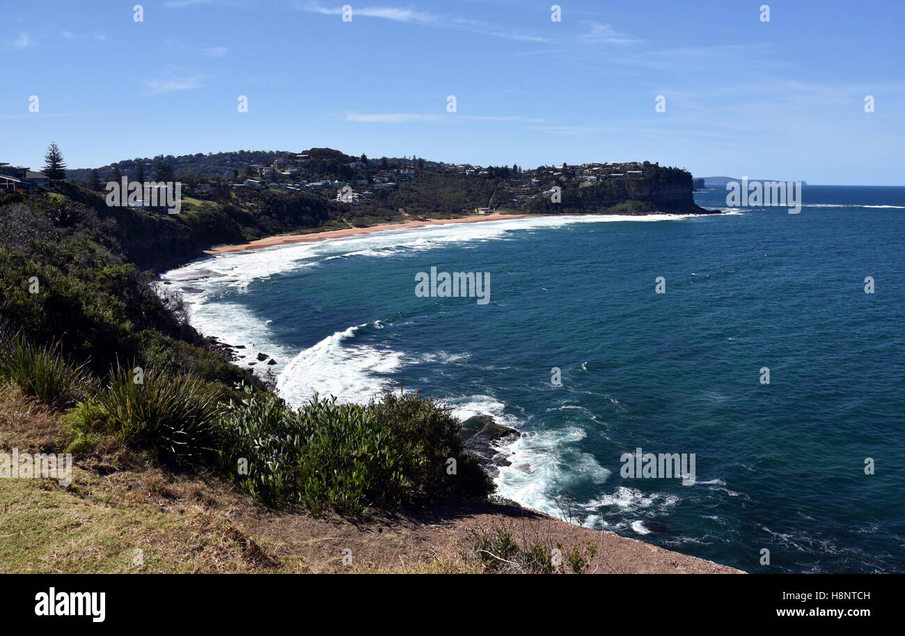 Bungan playa una de las playas del norte de Sidney (Sydney, NSW, Australia) Foto de stock