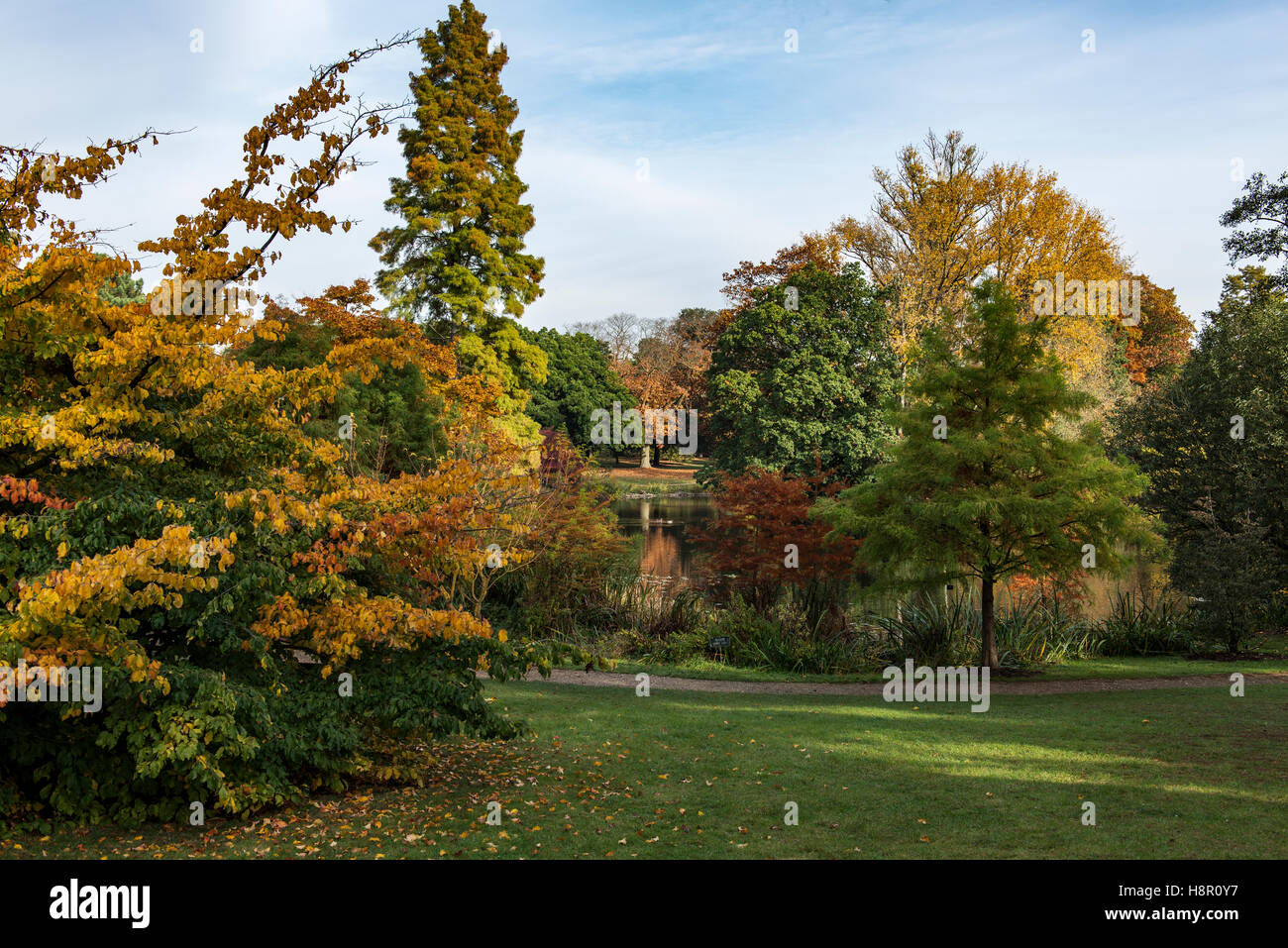 Escena de otoño en el Jardín Botánico de Kew Foto de stock