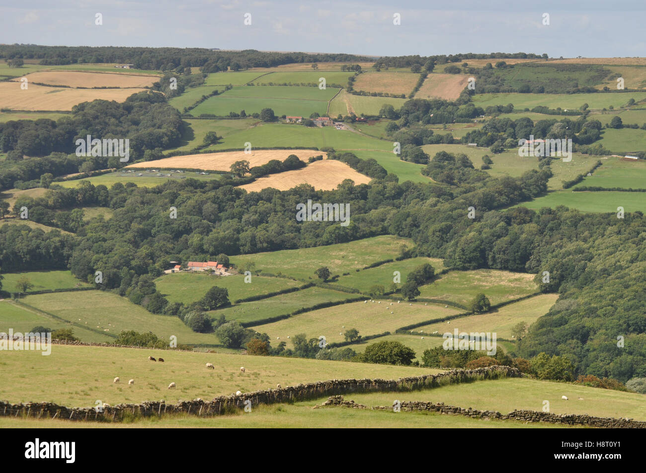 Tierras de cultivo de North Yorkshire Foto de stock